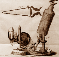 Hooke, Robert. The Micrographia, London, 1665